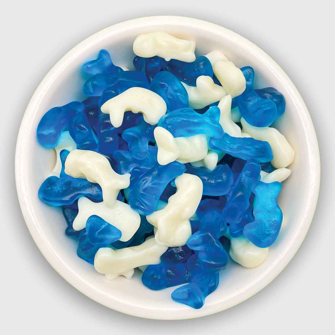 Baby Dolphins
