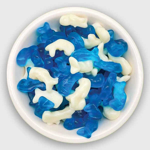 Baby Dolphins